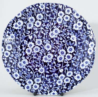 Lunch Plate